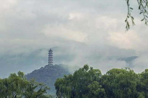 一、 生肖之力：从鼠到猪——十二种命运与古迹的共振