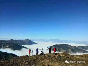 较大山包公园：黑颈鹤的栖息地