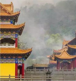 如guo先去广州：在老字号里迷失方向