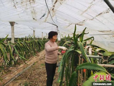 产业升级之路：旅游与电商的双轮驱动
