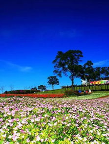 三、 安顶山，自然奇观尽收眼底——眼睛不够用系列