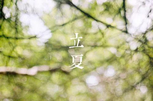 泉州立夏节：千年古俗，夏至味蕾盛宴