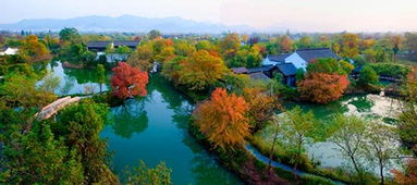 1. 西溪湿地：浪漫芦苇花的世界
