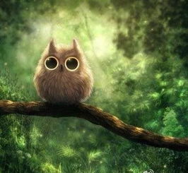 那些个古怪的老物件