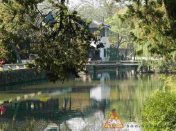 一、 春日苏州——花团锦簇的“乱七八糟”