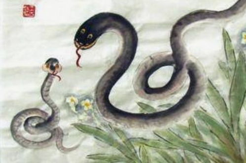 今年蛇生肖之后，接下来会是哪个生肖呢？这背后有什么生肖更替的规律吗？