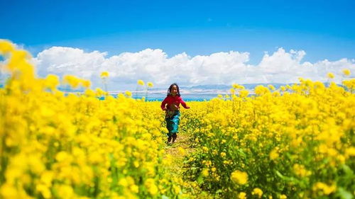 惯与茶卡盐湖的那些事儿