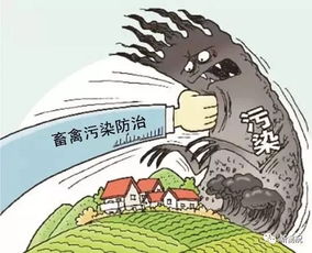 五、情绪化写作——让读者共鸣