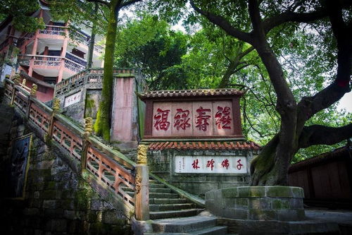 景点建设缺乏规划