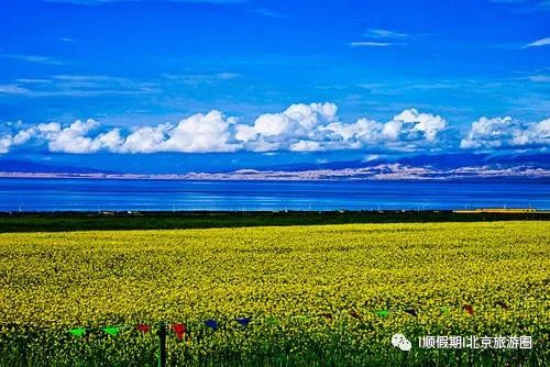 2026年独家预言