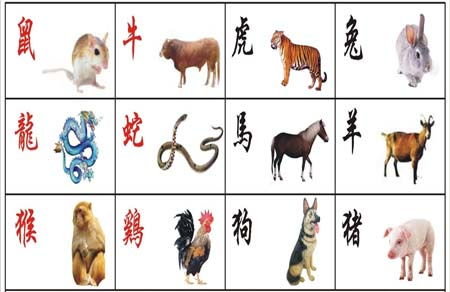 2026年84年属鼠的人运势如何？