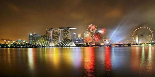 三、 新加坡旅游签证申请流程（别怕复杂！）