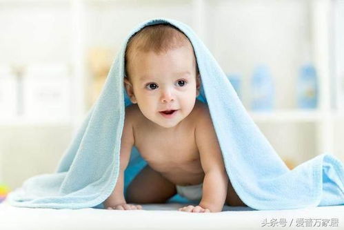 以食物为灵感的乳名