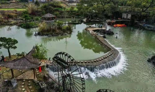 馒头山社区：烟火气息中的宁静