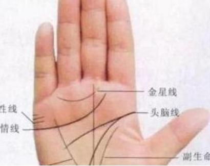 手相与财富的奇妙关联——乱七八糟版