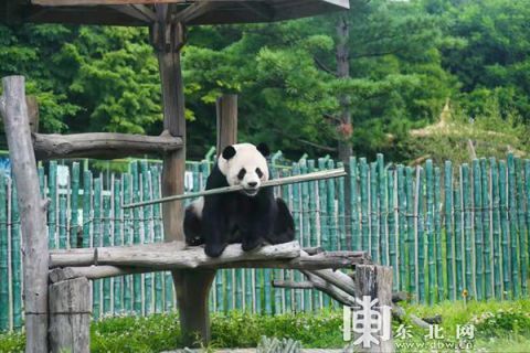 意外惊喜——“随机”美食体验