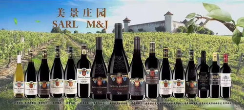 在巴黎品尝红酒， 感受浪漫氛围,