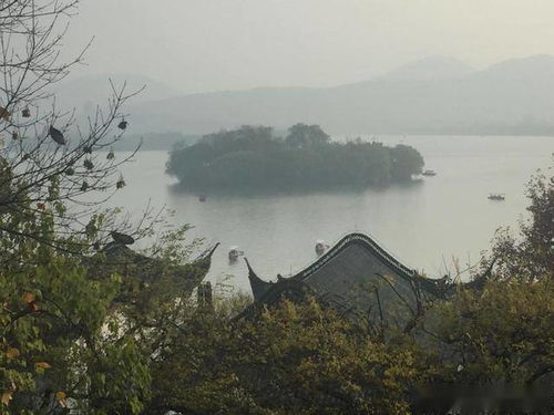 历史的尘埃落在肩头