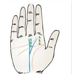 影响分叉意义的N个因素