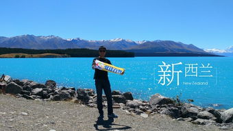 第一天：基督城闹市&羊驼农场的“萌”冲击