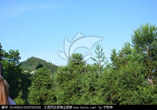 摇钱树与爱情传说