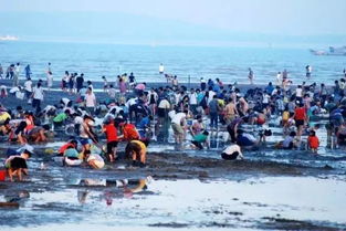一、 观音山沙滩：日出+赶海=双倍刺激
