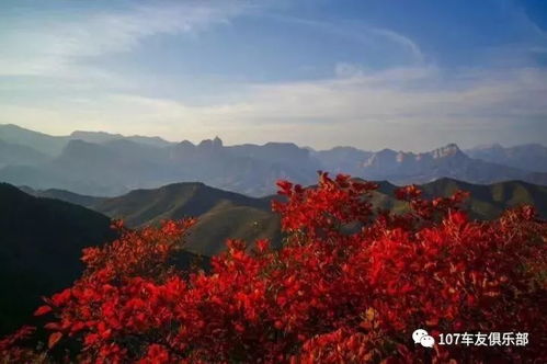 关于丹霞山秋季植被变化情况说明书(重要)