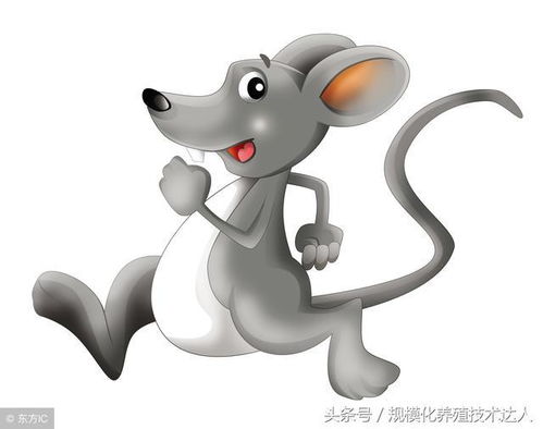 三、起名/改名技巧——从乱到有序，只要你敢试！