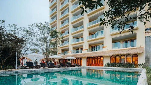 A区豪华大堂酒店（典型商业化案例）
