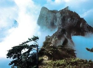 商业化的恶臭