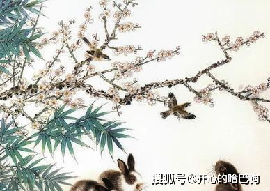 龙年霸气侧漏挡不住！