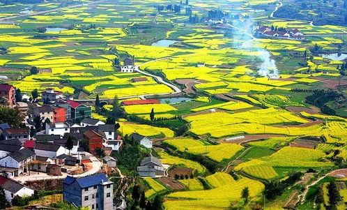 二、莲湖村：古韵流芳还是乱糟糟？