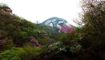 春日天池山——乱糟糟的探秘开场白