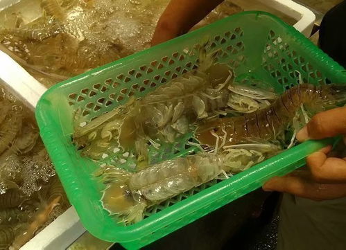 美食突击：槟城炒粿条 VS 海鲜烧烤大战