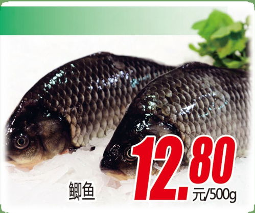 鱼影现窗：股市里的血泪教训