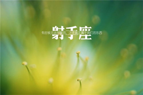 整体运势：机遇与挑战并存