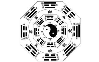 飞天格的