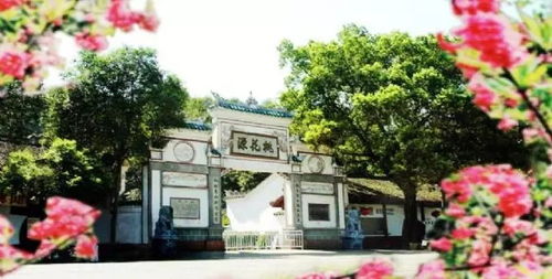 商业街的土味经济学