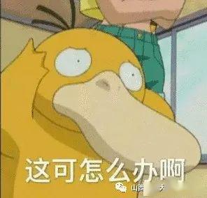 五、未时迷雾——羊群低吟与风水磁场倒转