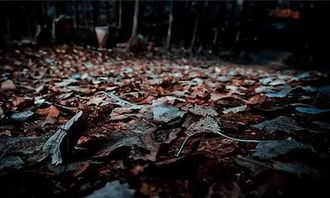 风水大忌：分尸之煞