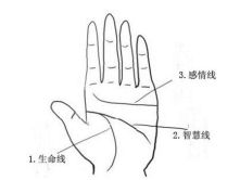 2.1 从智慧线上开始的事业线：大器晚成？