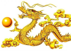 龙鼠相配吗？龙和鼠的婚配关系如何？这组合是否和谐？