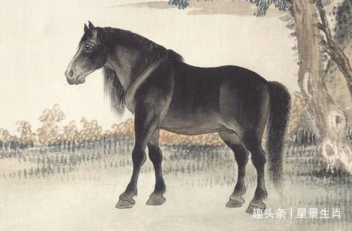 荣华富贵生肖是哪个？荣华富贵打一生肖是什么生肖的意思？