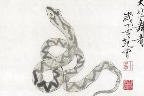 一、蛇在风水中的常见说法与误区