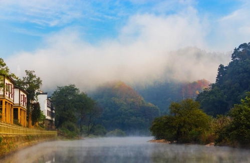 前期准备：攻略看得我头都秃了