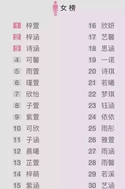 爆款名字大赏