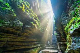 惊魂第二天：大峡谷历险