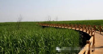 2. 优惠活动：全靠运气