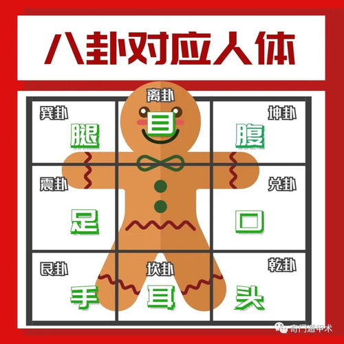 3. 配合原则？就是大杂烩！