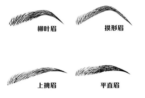眉毛连成一条毛毛虫